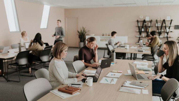 Büro-Evolution: Teamwork